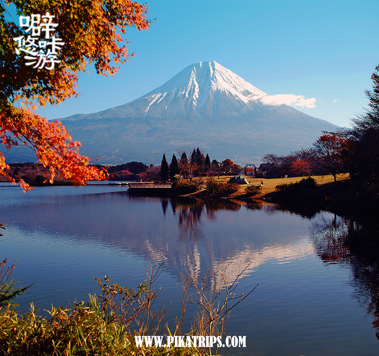 日本红叶季5日4晚东京 富士山休闲之旅 噼咔悠游